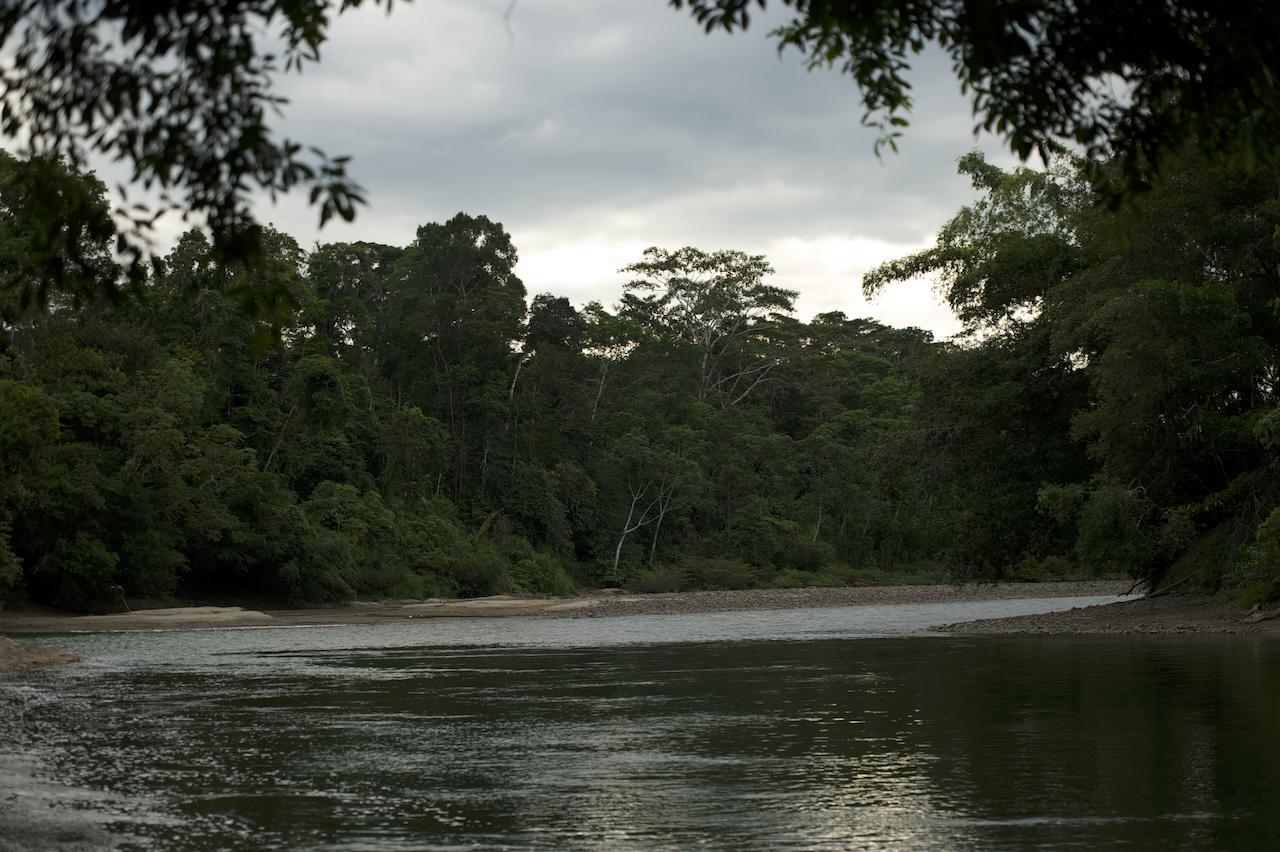 Itamandi Eco Lodge Rio Arajuno Bagian luar foto