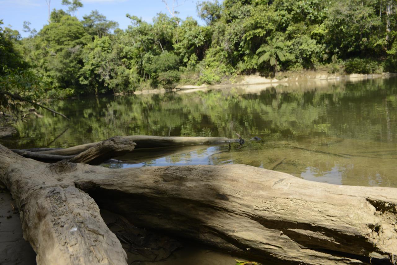 Itamandi Eco Lodge Rio Arajuno Bagian luar foto